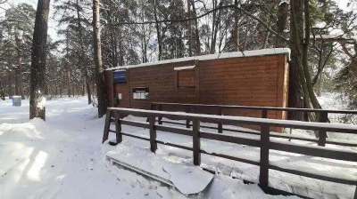 Власти Москвы приняли решение о демонтаже давнего клуба Моржей