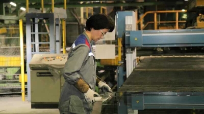 Миллиардер Лейтис стал владельцем двух заводов японской AGC в России